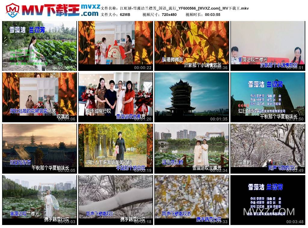 江虹娇-雪藻洁兰襟芳_国语_流行_YF600566